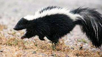 PastedGraphic-4 - Version 2